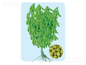 ���Sһ̖-ë���N��-���S�N�I(y��)