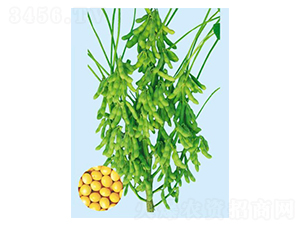 �׶�34-�󶹷N��-���S�N�I(y��)