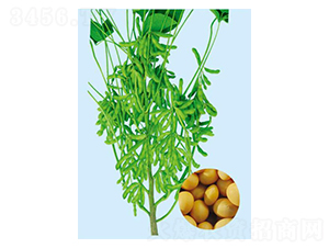 �ᶹ24-�󶹷N��-���S�N�I(y��)