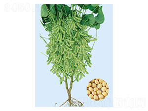 �|��15-�󶹷N��-���S�N�I(y��)