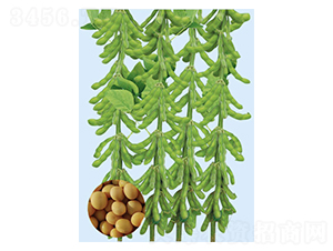 �ں�45-�󶹷N��-���S�N�I(y��)