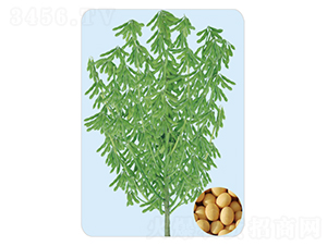 �_(k��i)��18-�󶹷N��-���S�N�I(y��)