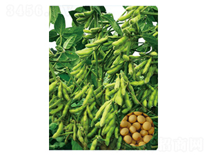 �����F�S29-�󶹷N��-���S�N�I(y��)