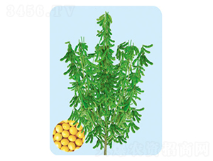 �F��53-�󶹷N��-���S�N�I(y��)