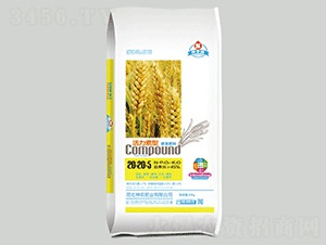 �������͓������20-20-5-���r(n��ng)��-���r(n��ng)�r(n��ng)�I(y��)