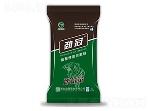 ����⛏ͺϷ���16-16-8-̼����-�Ź�