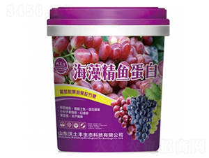 ���徫�~����-������-�����S