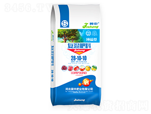 ��(f��)�����28-10-10-���зʘI(y��)