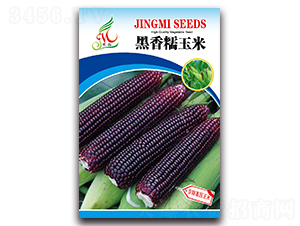 ����Ŵ����-Ŵ���׷N��-���ܷN�I(y��)