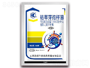 1000�|����/�˿ݲ�ѿ�ߗU���ɝ��Էۄ�-��������