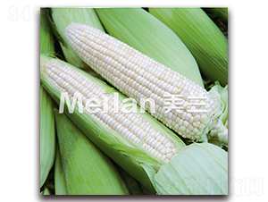 �������Ŵ19̖-��Ŵ���׷N��-�G��