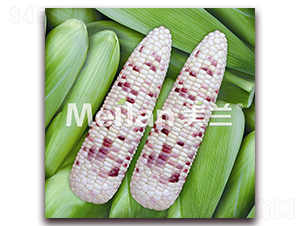 �������Ŵ15̖-��Ŵ���׷N��-�G��