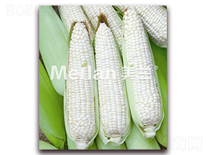 �������Ŵ7̖-��Ŵ���׷N��-�G��