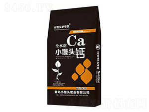 ȫˮ��С�z�^�}-С�z�^