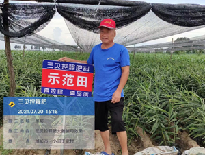 ��ؐ��ጷ���-��ؐ��(l��)�S