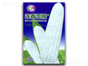 �B��ѩŴ-Ŵ���׷N��-����