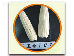 �K��Ŵ10̖-Ŵ���׷N��-�к̷N�I(y��)