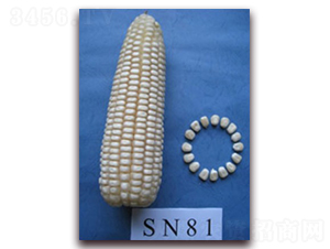 �K��Ŵ639̖-Ŵ���׷N��-�к̷N�I(y��)