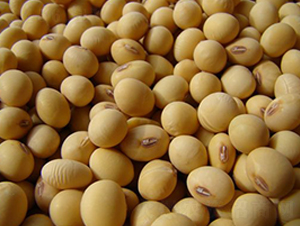 ���S37-�S���N��-�к̷N�I(y��)