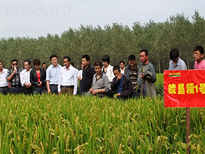 �Ŵ1̖(h��o)-ˮ���N��-�к̷N�I(y��)