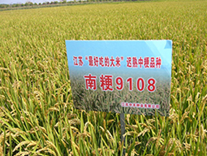 �Ͼ�9108-ˮ���N��-�к̷N�I(y��)