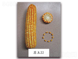 �K��22̖(h��o)-���׷N��-�к̷N�I(y��)