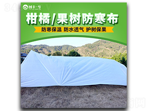 ���ٹ��������-���E�Ƽ�