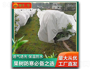 ���������-���E�Ƽ�