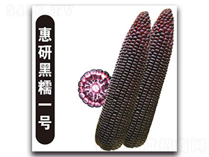 ���к�Ŵһ̖-Ŵ���׷N��-�Є�(chu��ng)���S