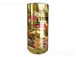 ��(x��)��������-ʩ����-�r(n��ng)� 