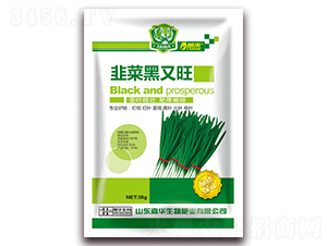 �²˺�����-�ʺ�-���A����