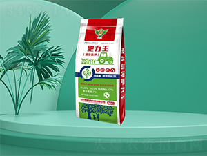 �۹Ȱ��-������-�㶦����