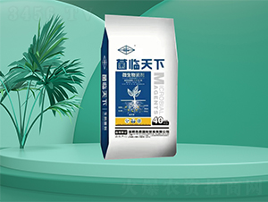 ΢�������-���R����-�㶦����