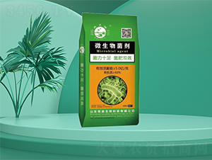 40kg΢�������-�㶦����