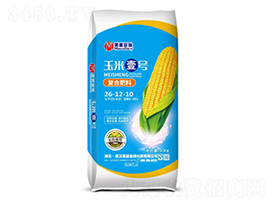 ���׌��Ï�(f��)�Ϸ���26-12-10-��ʢ����