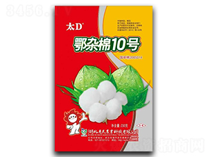 ���s��10̖(h��o)-�޻��N��-�����r(n��ng)�I(y��)