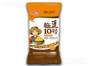 �R��10̖-�󶹷N��-���շN�I(y��)