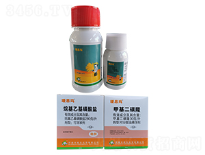 С������݄�-�a˼��-�S�՘�(l��)