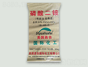 �M�������������-���̷ʘI(y��)