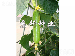 ���к���5̖(h��o)-�S�ϷN��-����