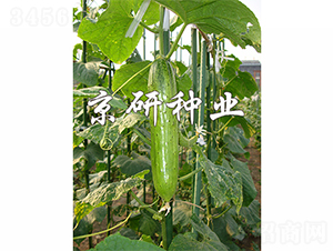 ���к���2̖(h��o)-�S�ϷN��-����