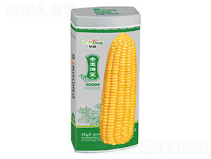 ����M��-Ŵ���׷N��-���L