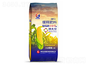 ��ጷ���28-8-12-���r(n��ng)��ʢ����