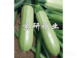 ����3̖(h��o)-�����J�N��-����