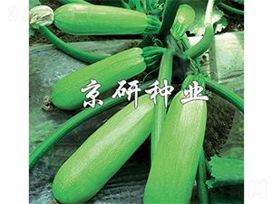 ����8̖(h��o)-�����J�N��-����