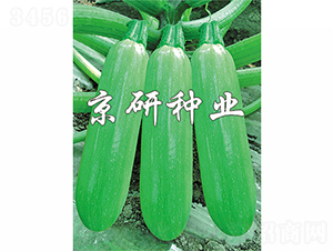 ����9̖(h��o)-�����J�N��-����