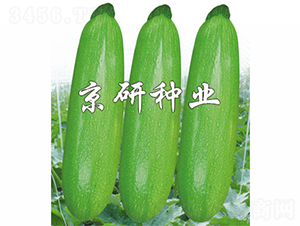 ����37-�����J�N��-����