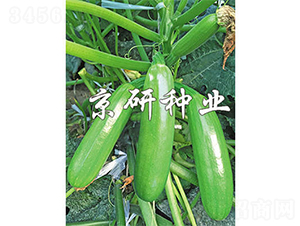 ����42̖-�����J�N��-����