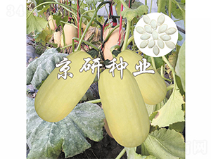 �������S2̖-�����J�N��-����