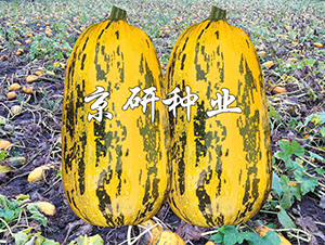 �������S3̖-�����J�N��-����